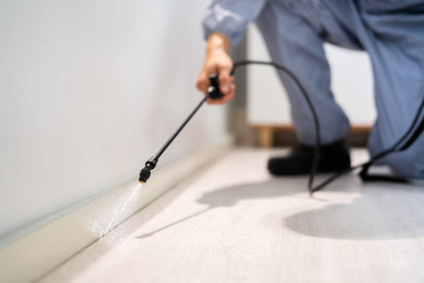 Licensed Mosquito Control service in Perry, MI - Show Me Pest Control