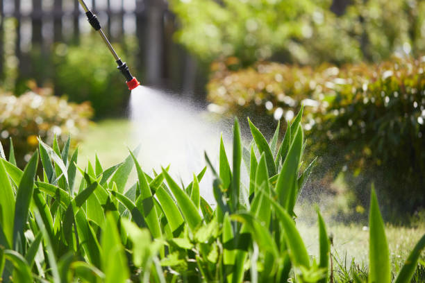 24/7 Emergency Mosquito Control experts in Perry, MI