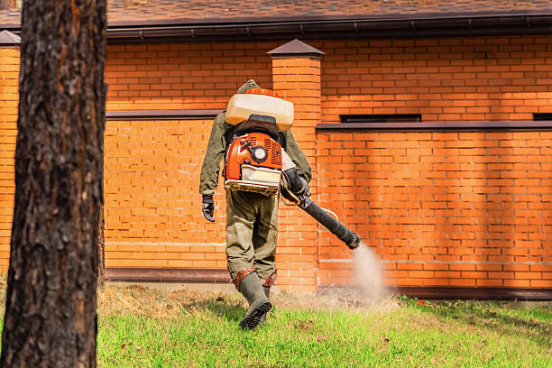 Top rated local Mosquito Control specialists in Perry, MI